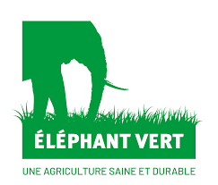 elephant vert
